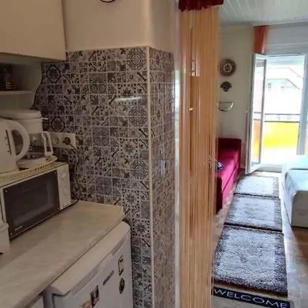 Apartament Studio In Harkany - Suedtransdanubien 20472 Harkány